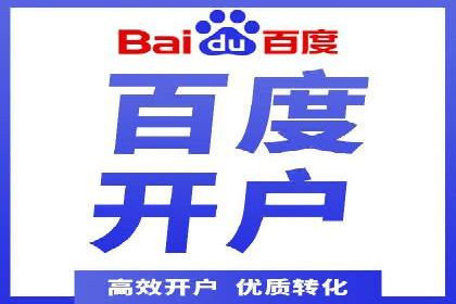 某电商平台的SEM策略与效果展示